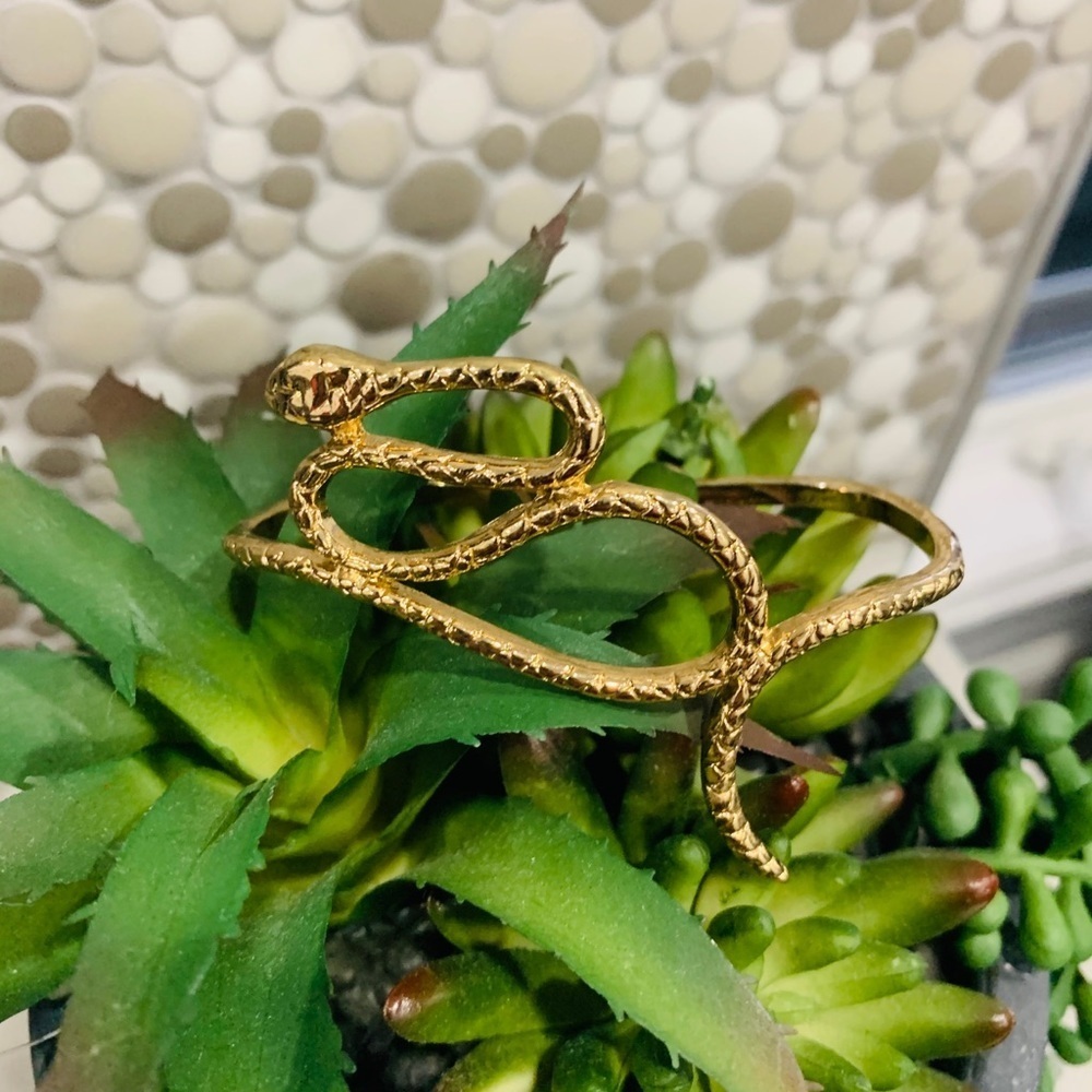 BR26- Snake gold plated palm bracelet